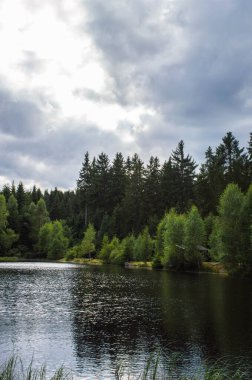 Ormandaki gölün yansımaları ve bulutlu arkaplanı.