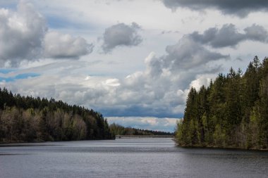 Bulutlu gökyüzü ve yüksek köknar ağaçları olan ormanda bir baraj.