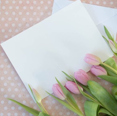 yumuşak pembe laleler beyaz ve pembe noktalı zemin üzerinde beyaz kağıt yay için boşluk