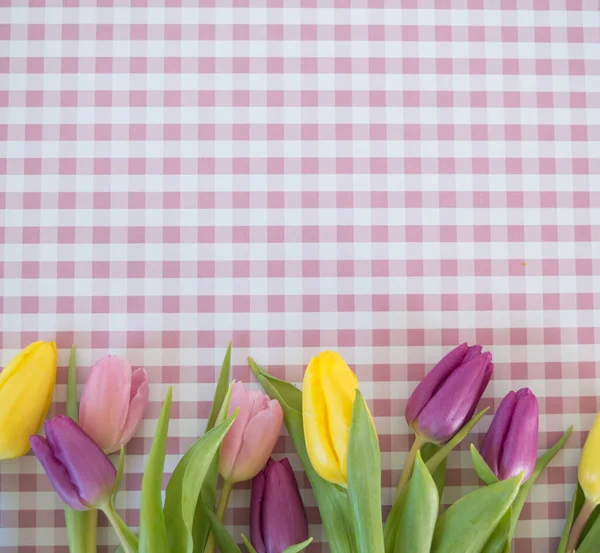 Różowe Żółte Fioletowe Tulipany Fioletowo Białym Podłożu Miejscem Tło Tekstowe — Zdjęcie stockowe