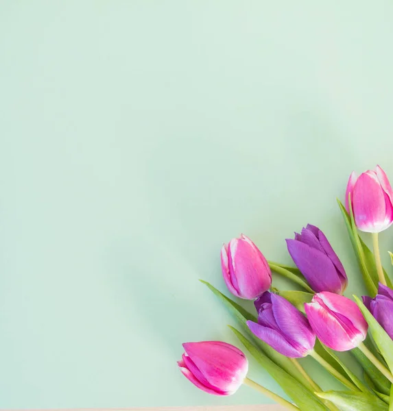 Tulipani Rosa Viola Fondo Grigio Con Spazio Sfondo Del Testo — Foto Stock