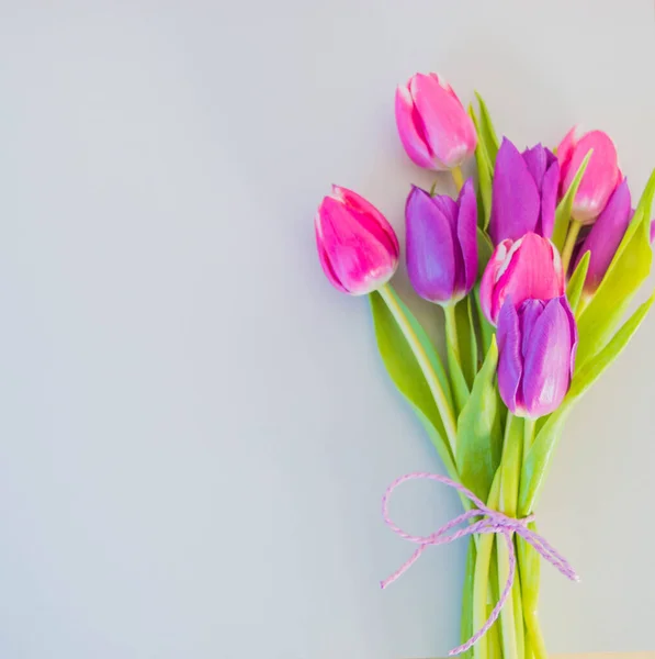 Tulipani Rosa Viola Fondo Grigio Con Spazio Sfondo Del Testo — Foto Stock
