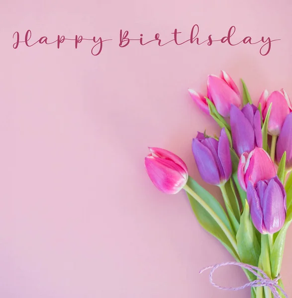 pink and violet tulips on soft pink ground with happy birthday text background spring