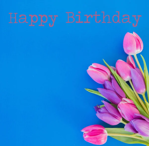 Rózsaszín Ibolya Tulipán Kék Alapon Boldog Születésnapot Szöveg Háttér — Stock Fotó