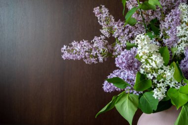 Koyu kahverengi ahşap duvarın önündeki vazoda beyaz ve mor leylak rengi.