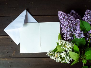 Beyaz, koyu kahverengi ahşap zemin üzerinde mor bir leylak.