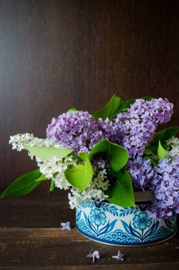 Koyu kahverengi ahşap duvarlı mavi desenli bir kutuda beyaz ve mor zambak.