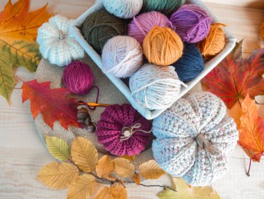 Hafif ahşap zemin üzerinde el yapımı örgü balkabakları sonbahar yaprakları arka planda