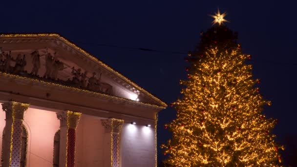 Bela Árvore Natal Cidade Iluminação Noturna — Vídeo de Stock