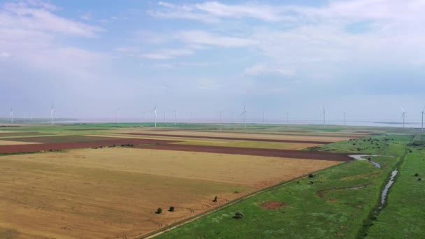 Turbinas Eólicas Orillas Del Lago Rosa Campos Agrícolas Primer Plano — Vídeos de Stock