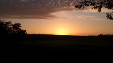 Gün batımında ağaç dallarının siluetleri gökyüzüne karşı. Doğal arkaplan