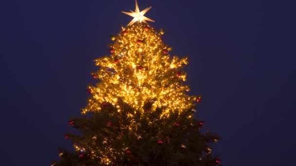 크리스마스 밤하늘을 배경으로 크리스마스 — 비디오