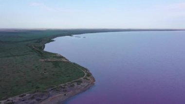 Pembe gölün sahil şeridi. Lemuria Gölü (Pembe Göl), Ukrayna 'nın Kherson bölgesinde bulunan bir göldür. Hava görünümü