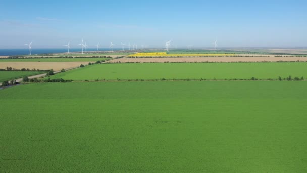Uitzicht Vanuit Lucht Pittoreske Landbouwvelden Gelegen Aan Zee Windturbines Zijn — Stockvideo