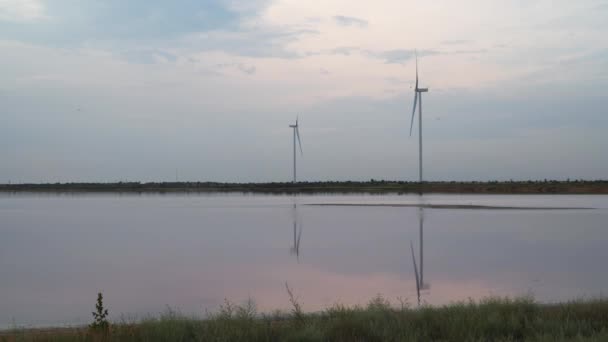 Turbin Angin Tepi Danau Itu Danau Lemuria Danau Pink Adalah — Stok Video