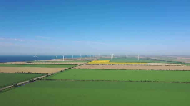 Wind Turbines Picturesque Agricultural Fields Spring Seashore Bird Eye View — Stock Video