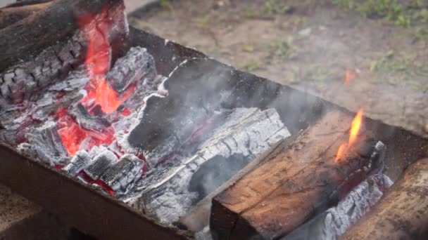 Api Unggun Bbq Membakar Kayu Bakar Pembakaran Kayu Bakar Untuk — Stok Video