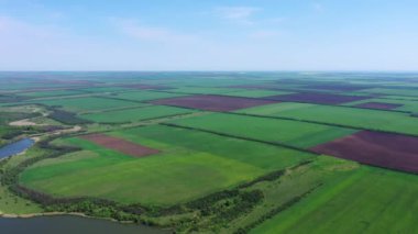 Agricultural fields in the spring. Aerial view