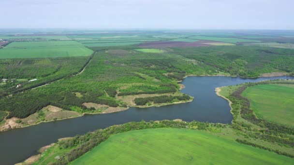 Река Лес Сельскохозяйственные Поля Высоты Птичьего Полета Естественная Весна — стоковое видео