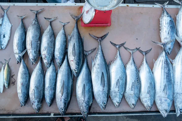 Geleneksel Pazarlarda Satılan Balıkçılardan Taze Ton Balığı Stok Fotoğraf