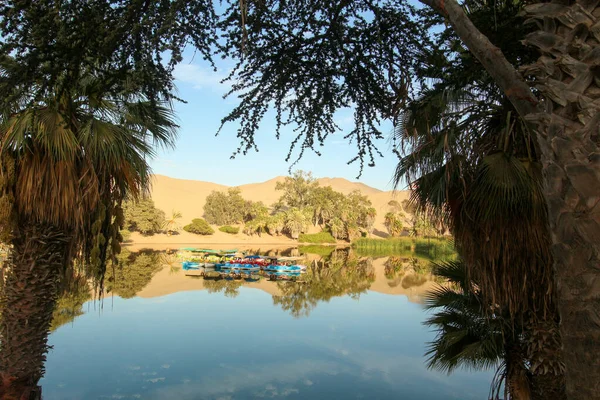 Huacachina - an oasis in the middle of the Peruvian desert, view of palm trees and a lagoon with boats and sandy dunes in the background.