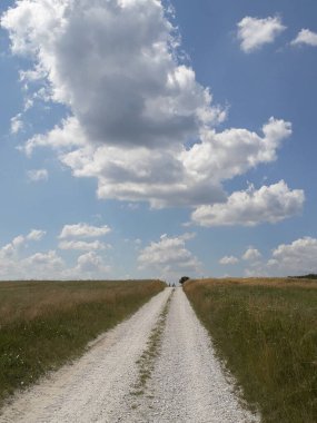 Saha manzarası. Yalnız ağaç ve mavi gökyüzü olan kirli bir yol. Gökyüzünde beyaz bulutlar
