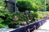 PUTRAJAYA, MALAYSIA -MÁJUS 30, 2016: Bonsai fa bemutató a nyilvánosság számára a Royal Floria Putrajaya 2016-ban Putrajaya, Malajzia.