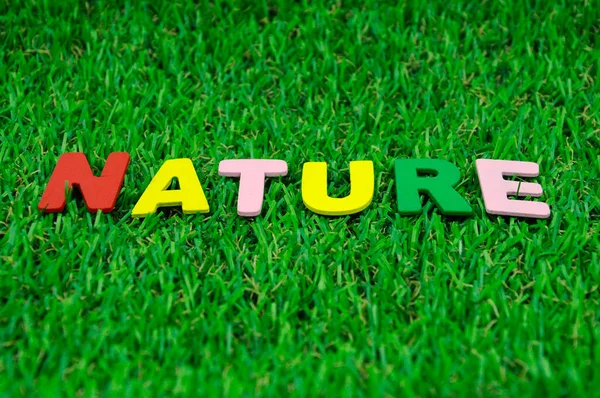 Mot Nature Fabriqué Partir Alphabet Bois Coloré Posé Sur Gazon — Photo