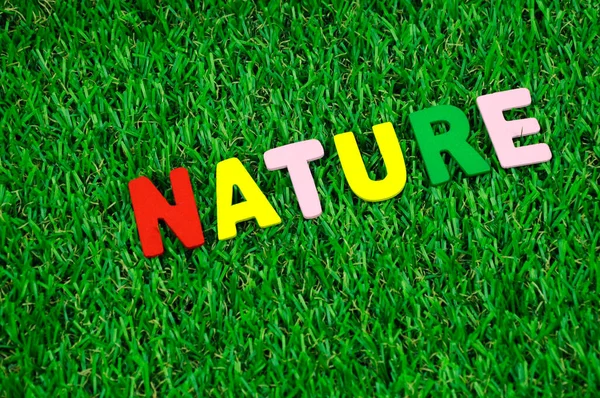 Słowo Nature Wykonane Kolorowego Alfabetu Drewnianego Położone Sztucznej Trawie — Zdjęcie stockowe