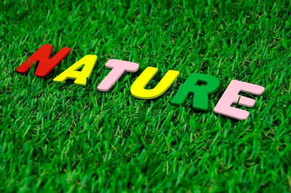 Mot Nature Fabriqué Partir Alphabet Bois Coloré Posé Sur Gazon — Photo