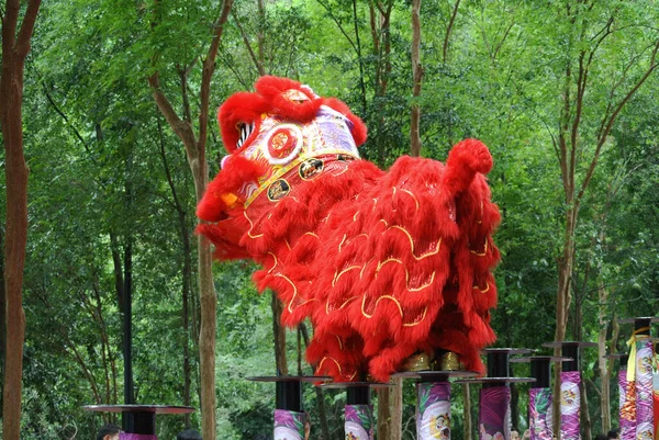 Selangor Malaysia Februar 2016 Der Löwentanz Ist Eine Rituelle Tradition — Stockfoto