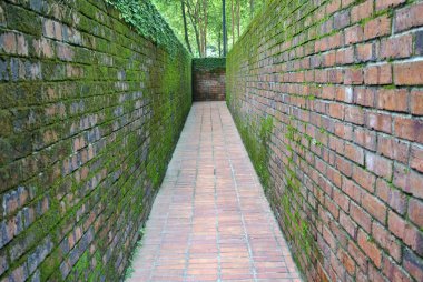 SELANGOR, MALAYSIA -HAZİRAN 04, 2015: Kil tuğla ve kil tuğla yüzeyinden yapılmış yürüyüş yolları yeşil yosun ile kaplıydı