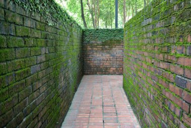 SELANGOR, MALAYSIA -HAZİRAN 04, 2015: Kil tuğla ve kil tuğla yüzeyinden yapılmış yürüyüş yolları yeşil yosun ile kaplıydı