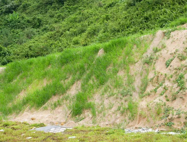 Perlindungan Lereng Permanen Dengan Rumput Menggunakan Metode Hydroseed Rumput Ini — Stok Foto