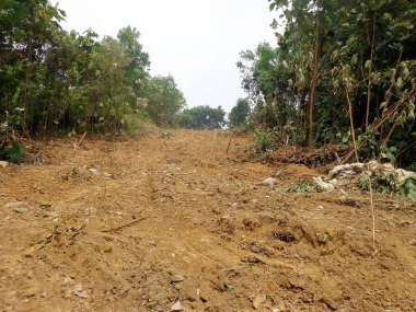 JOHOR, MALAYSIA - 5 Mart 2021: Arazi temizleme çalışmaları ve inşaat platformlarının oluşumu devam ediyor. Bu iş ağır makinelerle yapılır..