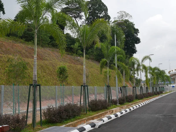 Seremban Maleisië Maart 2021 Landschapswerk Nieuwe Bomen Worden Geplant Ondersteund — Stockfoto