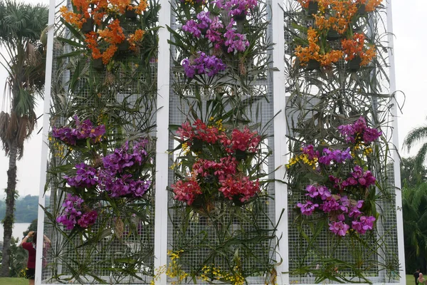 Kuala Lumpur Malaysia Januar 2022 Pflanzen Von Kräutern Blumen Und — Stockfoto