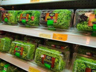 PENANG, MALAYSIA - 30 HAZİRAN 2022: Şeffaf konteynırlarda paketlenmiş sebzeler üzerine odaklanıldı. Süpermarketlerde satışta. Fiyat etiketi türüne göre olsun.