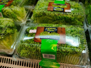 PENANG, MALAYSIA - 30 HAZİRAN 2022: Şeffaf konteynırlarda paketlenmiş sebzeler üzerine odaklanıldı. Süpermarketlerde satışta. Fiyat etiketi türüne göre olsun.