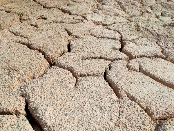 Terreno Lamacento Que Anteriormente Continha Água Rachou Devido Clima Quente — Fotografia de Stock