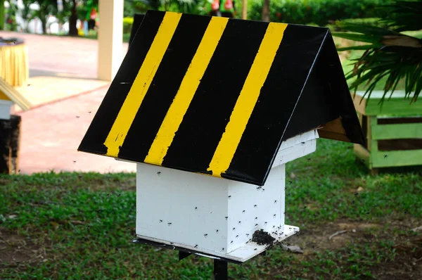 Serdang Malaysia December 2016 Man Made Home Nest Stingless Bee — Stock Photo, Image