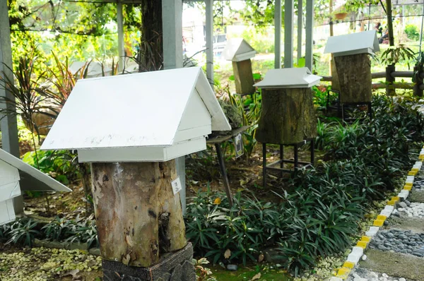 Serdang Malaysia December 2016 Людина Зробила Будинок Або Гніздо Безжальних — стокове фото