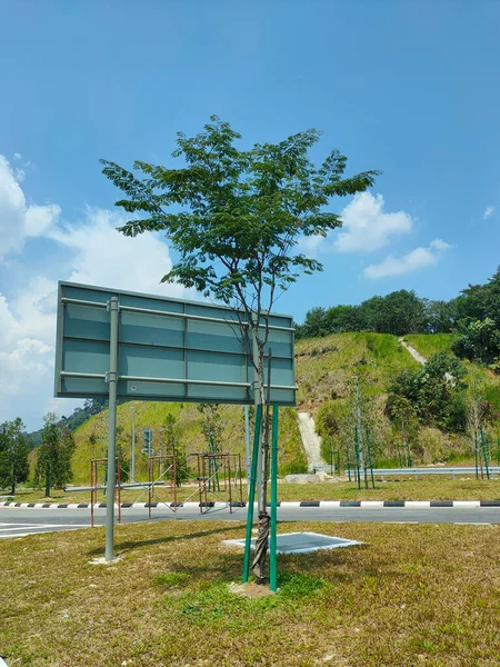 Seremban Malaysia March 2021 Landscape Work New Trees Planted Supported — Stock Photo, Image