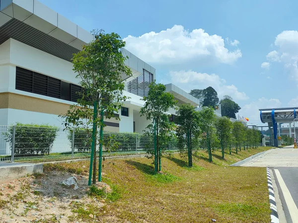 Seremban Malezya Mart 2021 Peyzaj Çalışması Yeni Ağaçlar Devrilmelerini Önlemek — Stok fotoğraf