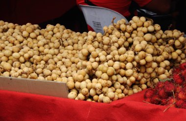 JASIN, MALAYSIA -29 Temmuz 2016: Lansium paraziti veya langsat veya lanzone olarak da bilinen bilimsel yele lansium domesticum. Bazen dukong 'u ara. Çoğu Güney Doğu Asya 'da bulunan tropik meyveler. 