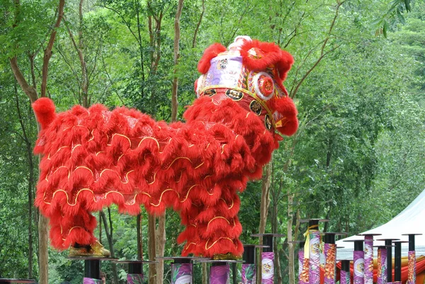 Selangor Malaysia Februar 2016 Der Löwentanz Ist Eine Rituelle Tradition — Stockfoto