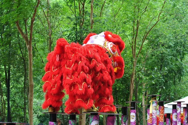 Selangor Malaysia February 2016 Lion Dance Ritual Traditions Chinese Society — Stock Photo, Image