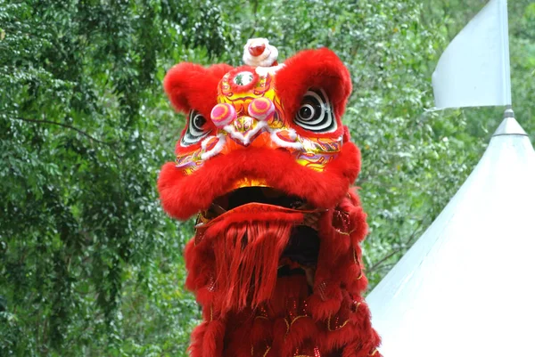 Selangor Malaysia February 2016 Lion Dance Ritual Traditions Chinese Society — Stock Photo, Image