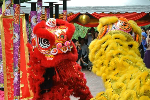 Selangor Malaysia February 2016 Lion Dance Ritual Traditions Chinese Society — Stock Photo, Image