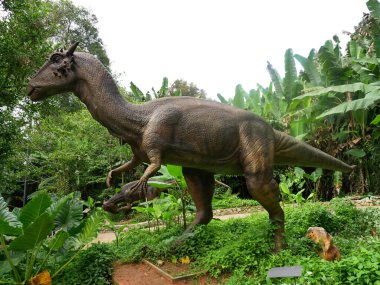 MELAKA, MALAYSIA - JUNE 6, 2022: Replicas of various types of dinosaurs built to life size. It is decorated with tropical plants to make it seem alive.